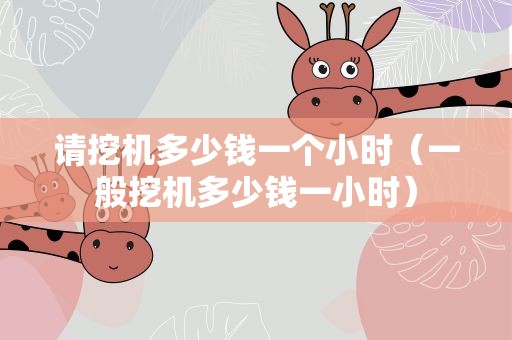 请挖机多少钱一个小时（一般挖机多少钱一小时）