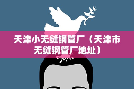天津小无缝钢管厂（天津市无缝钢管厂地址）