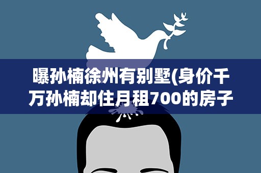 曝孙楠徐州有别墅(身价千万孙楠却住月租700的房子)