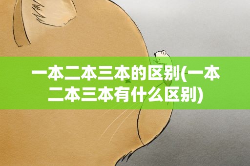 一本二本三本的区别(一本二本三本有什么区别)