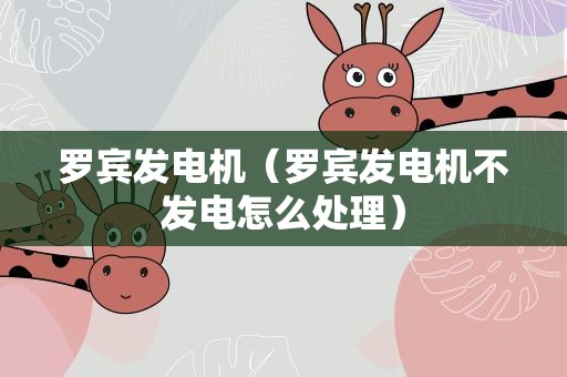 罗宾发电机（罗宾发电机不发电怎么处理）