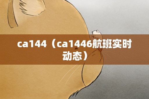 ca144（ca1446航班实时动态）