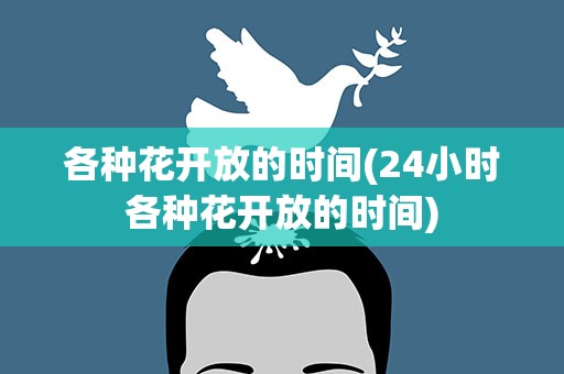 各种花开放的时间(24小时各种花开放的时间)