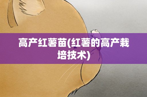 高产红薯苗(红薯的高产栽培技术)