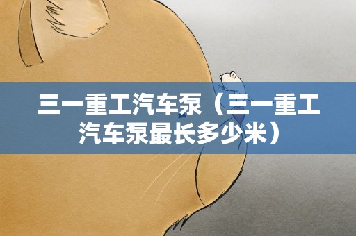 三一重工汽车泵（三一重工汽车泵最长多少米）