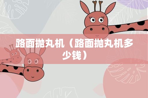 路面抛丸机（路面抛丸机多少钱）