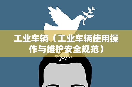 工业车辆（工业车辆使用操作与维护安全规范）