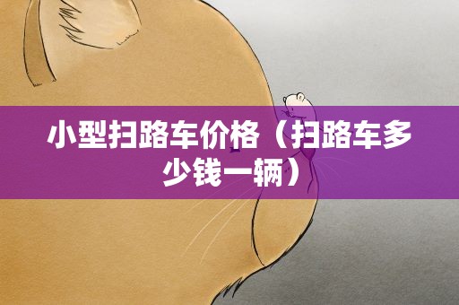 小型扫路车价格（扫路车多少钱一辆）