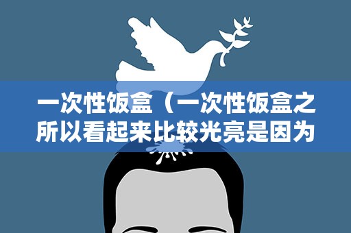一次性饭盒（一次性饭盒之所以看起来比较光亮是因为添加了）