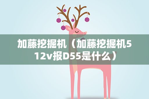 加藤挖掘机（加藤挖掘机512v报D55是什么）