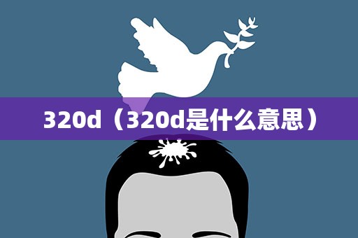 320d（320d是什么意思）