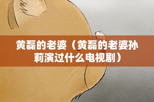 黄磊的老婆（黄磊的老婆孙莉演过什么电视剧）
