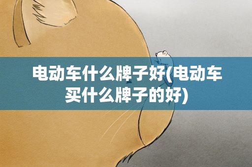 电动车什么牌子好(电动车买什么牌子的好)