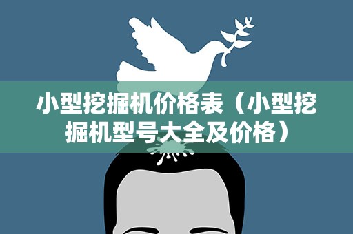 小型挖掘机价格表（小型挖掘机型号大全及价格）