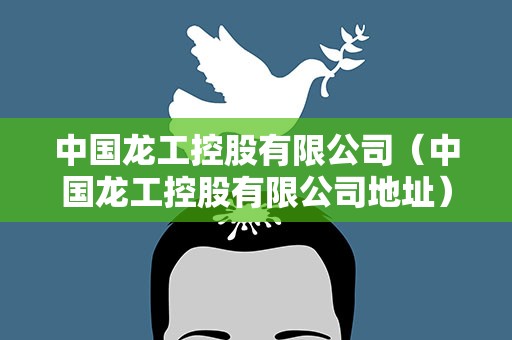 中国龙工控股有限公司（中国龙工控股有限公司地址）