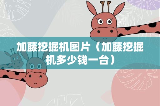 加藤挖掘机图片（加藤挖掘机多少钱一台）