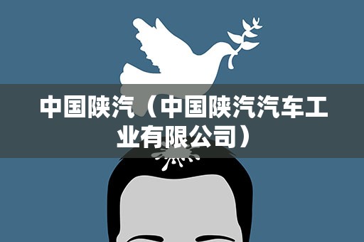 中国陕汽（中国陕汽汽车工业有限公司）