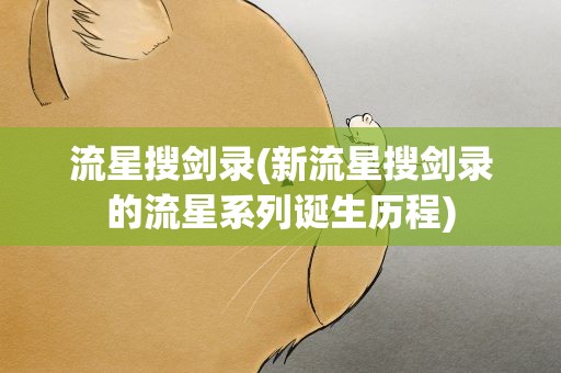 流星搜剑录(新流星搜剑录的流星系列诞生历程)