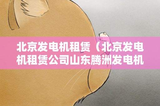 北京发电机租赁（北京发电机租赁公司山东腾洲发电机租赁）