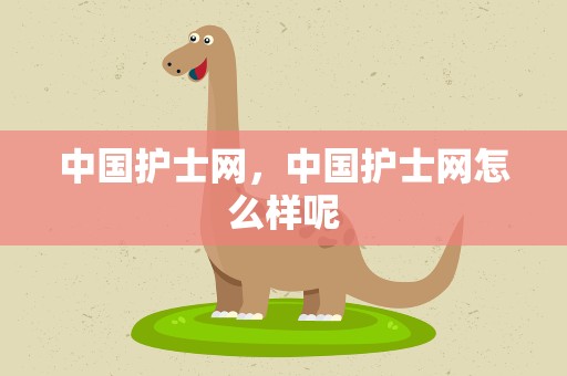 中国护士网，中国护士网怎么样呢