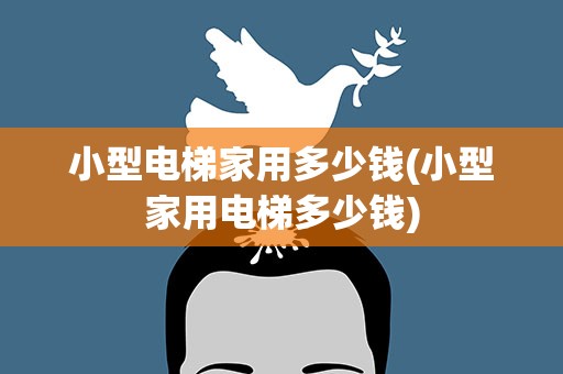 小型电梯家用多少钱(小型家用电梯多少钱)