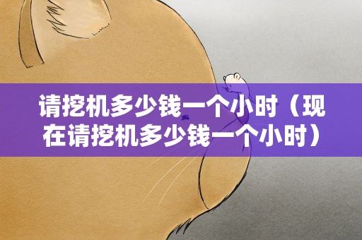 请挖机多少钱一个小时（现在请挖机多少钱一个小时）