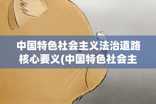中国特色社会主义法治道路核心要义(中国特色社会主义法治道路的核心要义是什么)