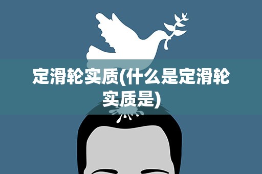 定滑轮实质(什么是定滑轮实质是)