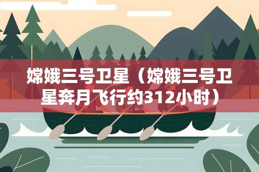 嫦娥三号卫星（嫦娥三号卫星奔月飞行约312小时）