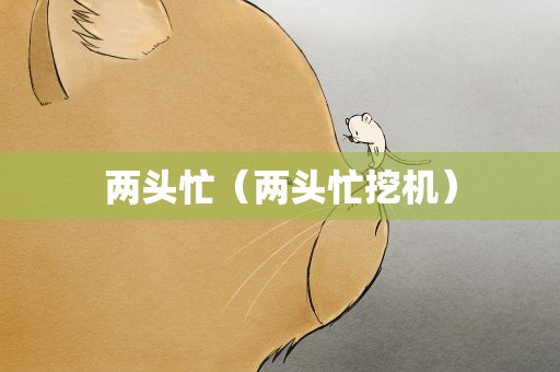 两头忙（两头忙挖机）