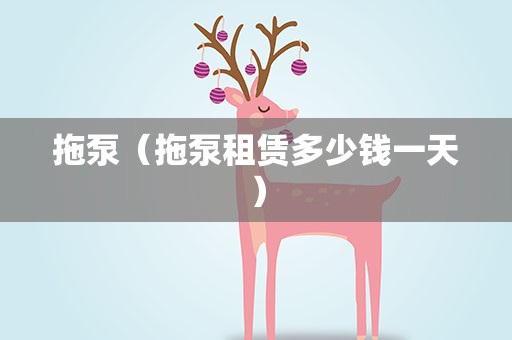 拖泵（拖泵租赁多少钱一天）