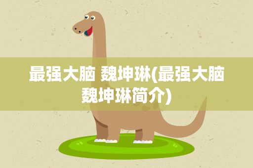 最强大脑 魏坤琳(最强大脑魏坤琳简介)