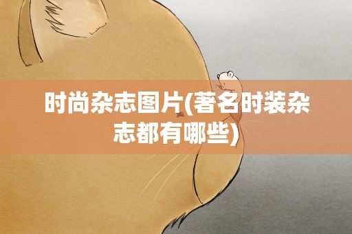 时尚杂志图片(著名时装杂志都有哪些)