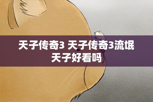 天子传奇3 天子传奇3流氓天子好看吗