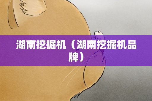 湖南挖掘机（湖南挖掘机品牌）