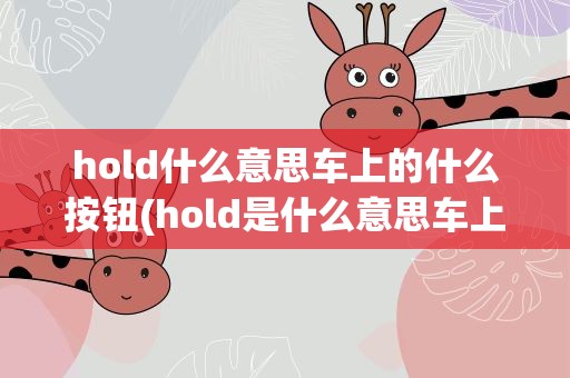 hold什么意思车上的什么按钮(hold是什么意思车上的怎么用)