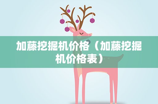 加藤挖掘机价格（加藤挖掘机价格表）