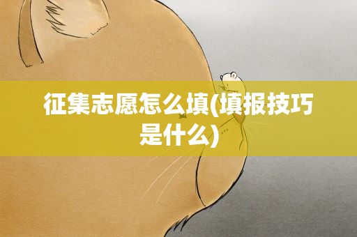征集志愿怎么填(填报技巧是什么)
