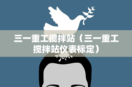 三一重工搅拌站（三一重工搅拌站仪表标定）