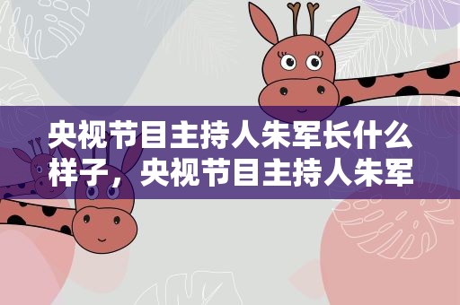 央视节目主持人朱军长什么样子，央视节目主持人朱军长什么样子啊