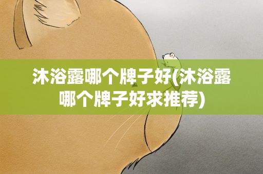 沐浴露哪个牌子好(沐浴露哪个牌子好求推荐)