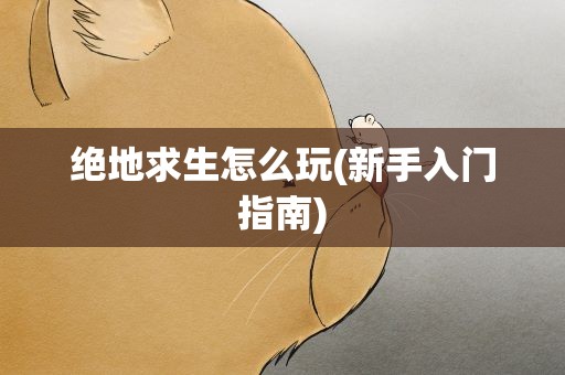 绝地求生怎么玩(新手入门指南)