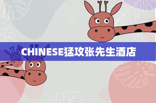 CHINESE猛攻张先生酒店