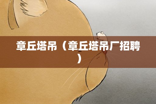 章丘塔吊（章丘塔吊厂招聘）