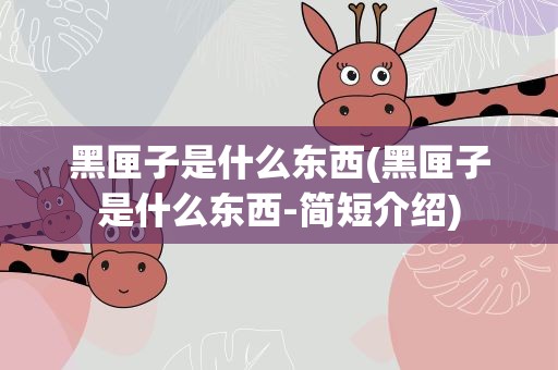 黑匣子是什么东西(黑匣子是什么东西-简短介绍)