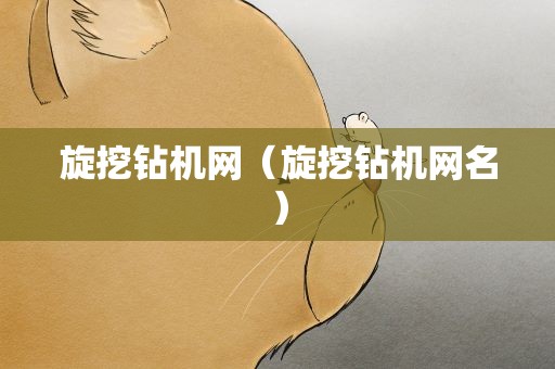 旋挖钻机网（旋挖钻机网名）