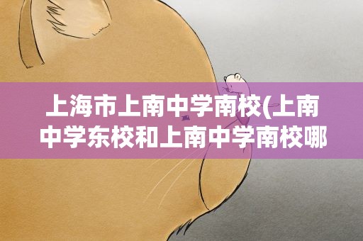 上海市上南中学南校(上南中学东校和上南中学南校哪个好)