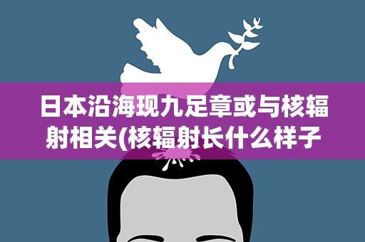 日本沿海现九足章或与核辐射相关(核辐射长什么样子)
