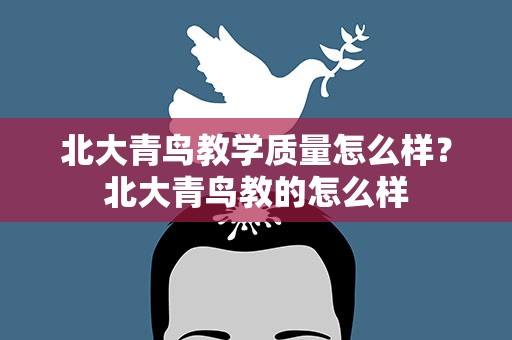 北大青鸟教学质量怎么样？北大青鸟教的怎么样