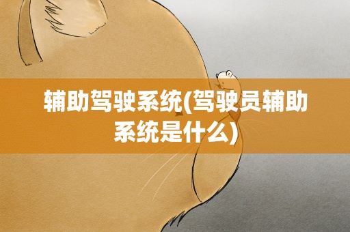 辅助驾驶系统(驾驶员辅助系统是什么)